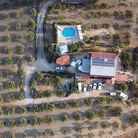 לינה וארוחת בוקר Cattolica Eraclea Terra Nostra מראה חיצוני תמונה